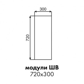 Эстель фасад торцевой верхнего шкафа ШВ 720х300