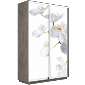 Шкаф-купе Дуо фото Орхидея 1200 new декор