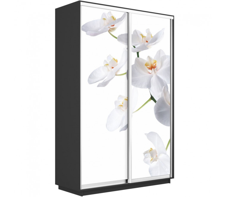 Шкаф-купе Дуо фото Орхидея 1600 new декор