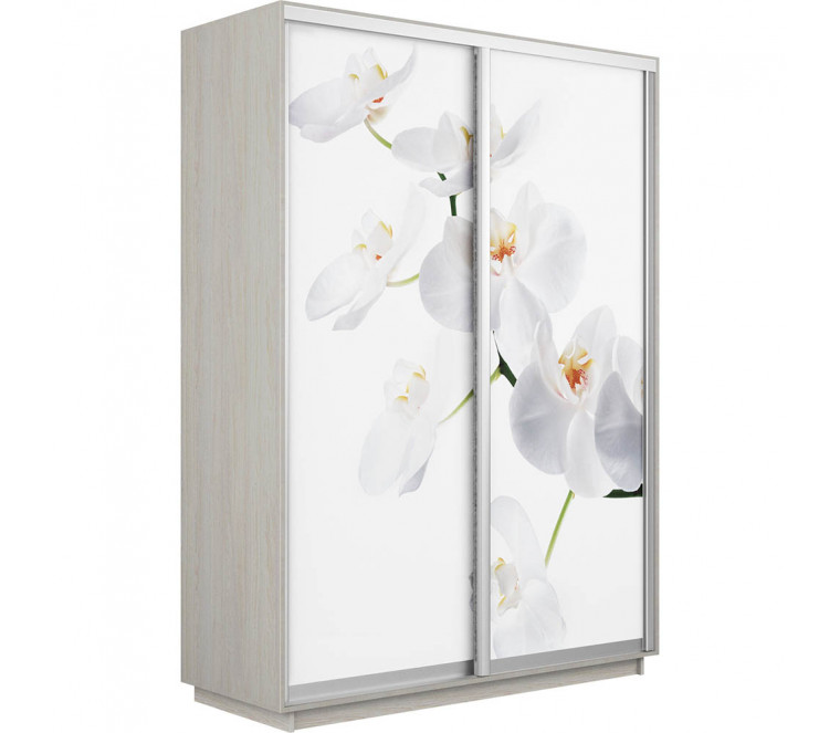 Шкаф-купе Дуо фото Орхидея 1600 new декор