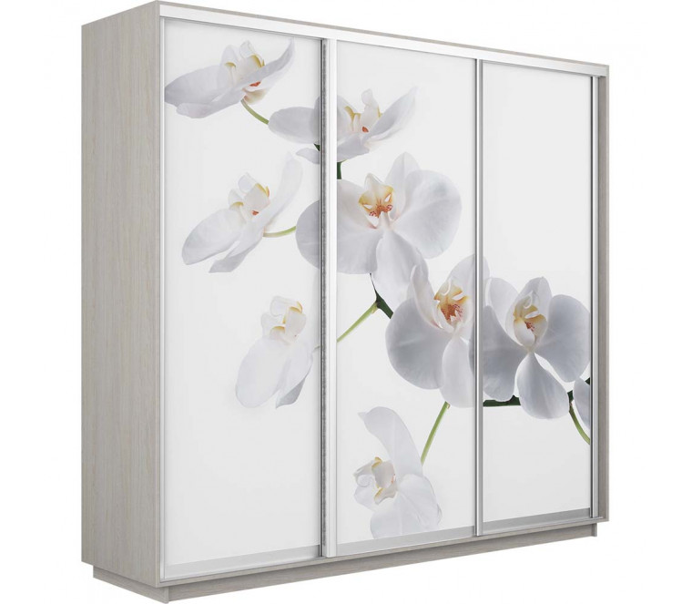 Шкаф-купе Трио фото Орхидея 2400 new декор